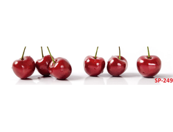 SP-249 Глянцевая стеновая панель ALBICO  2800*610*6мм.