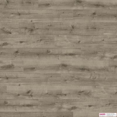 Декор ламината Haro Daily Edition Дуб Калла Серый 541341 фронт
