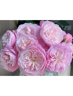 Английские