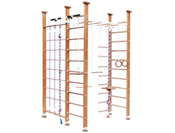 Спортивный комплекс в квартиру Henrietta