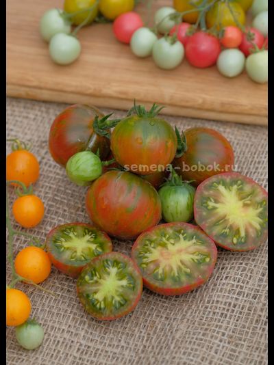 Томат Delta Diver red (Гном Дельта Дивер Ред), 10 шт