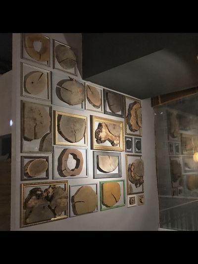 декор стены из спилов галерея