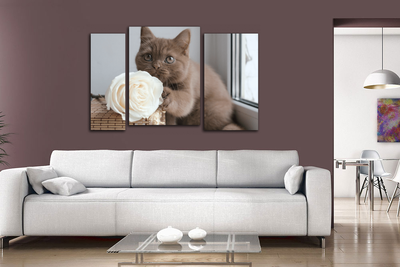 Модульная картина "Кот с розой"