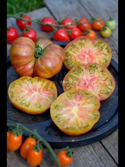 Томат Ярсон 7/1 (Jarson 7/1), 10 шт