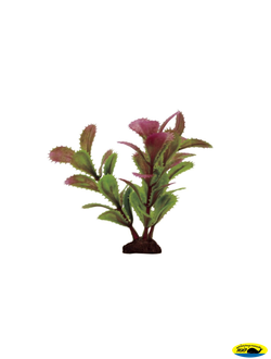 1170501 АRТ Набор 10см.иск.раст.Прозерпинака красно-зеленая 6шт.