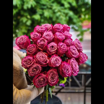 Роза Эквадор 70 см 25 шт