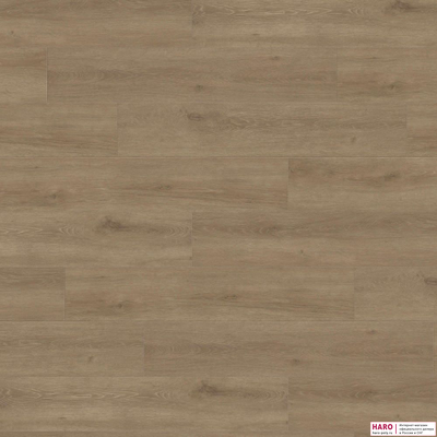 Ламинат Haro Tritty 100 Campus Дуб Венето Кремовый 541543 32 класс толщина 8 мм с фаской 1.98 м2