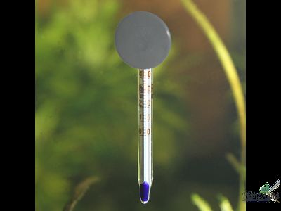 JBL Aquarium Thermometer Mini