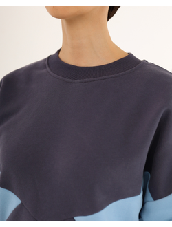 Свитшот  колорблок хлопковый велюр (черничный)