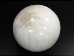 Шар Сколецит, Индия (60 мм, 255 г) №35934