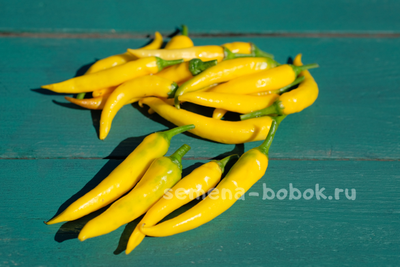 Острый перец  Sarit Gat, 10 шт