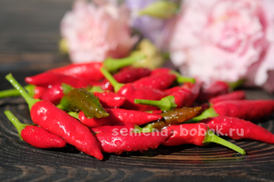 Перец острый Chile Santaka Hot Asian, 10 шт