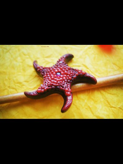 Красивая брошь "Морская звезда Золотых Морей" с родолитом