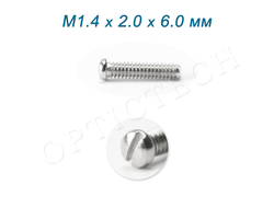 Винт М1.4*2.0*6.0 мм общего назначения серебро (100шт)