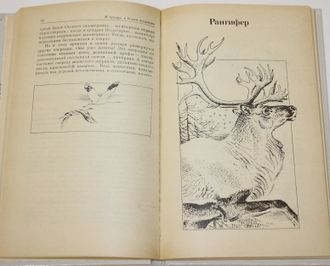 Старикович С.Ф. Они живут не только в заповеднике. Худ. В.Горбатов. М.: Детская литература. 1988г.