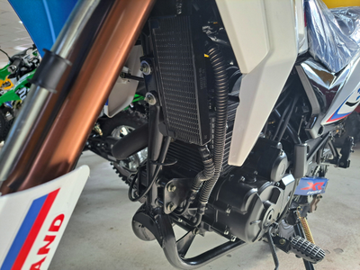 Motoland 300 ENDURO XR300