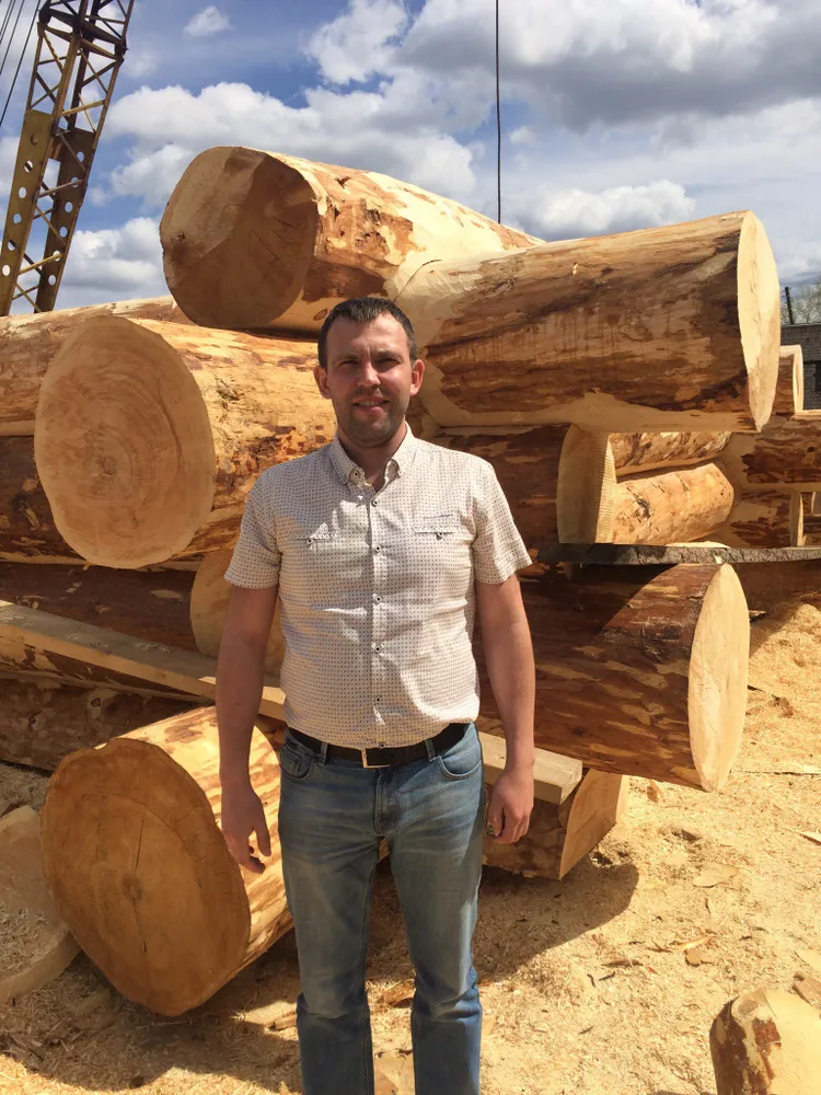 Массивные бревна кедра в сравнении с человеческим ростом. Рубленая баня из кедра, технология Русская рубка