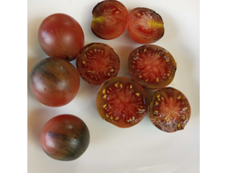 Томат Шоколадный подарок