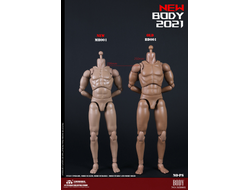 Тело без шеи с кистями и стопами - NEW TYPE STANDARD MALE BODY (MB001) - COOMODEL