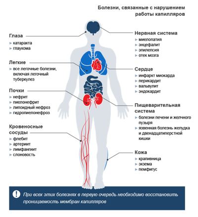 Массаж горячими базальтовыми камнями