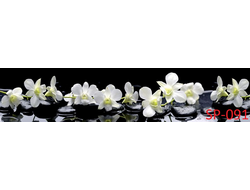 SP-091 БЕЛЫЕ ОРХИДЕИ на черном фоне Глянцевая стеновая панель ALBICO 2800*610*6мм