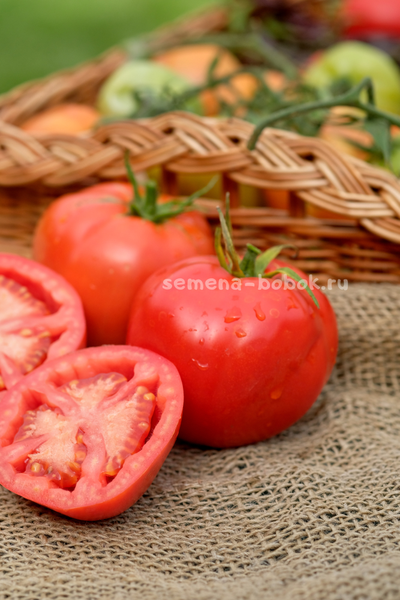 Томат Минусинский Кистевой, 10 шт