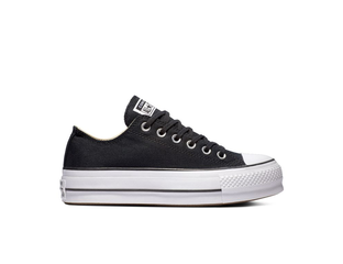 Converse All Star Low Top