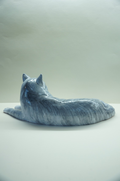 Большая кошечка