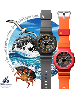 Часы Casio G-Shock GA-B2100DF-4A