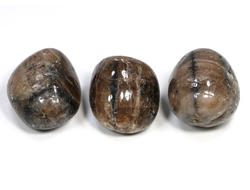 Хиастолит (андалузит) в ассортименте, галтовка (24-25 мм, 14-18 г) №22702