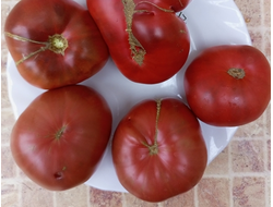 Томат Мглистая роза Дана (Dana's Dusky Rose)