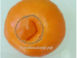 Томат Большой золотой вкусный (Big Golden Delicious)