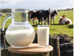 Молочная продукция из коровьего молока