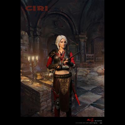 Цири в доспехах (Ведьмак 3, The Witcher) - КОЛЛЕКЦИОННАЯ ФИГУРКА 1/6 Ciri Armored (J-002) - Nine Craftsmen