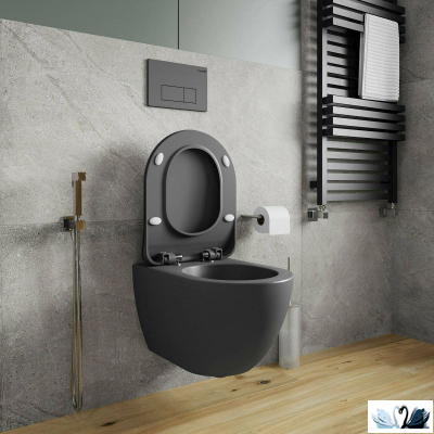 Унитаз Creavit Free FE320-11AM00E-0000, Antrasit, подвесной, графит матовый