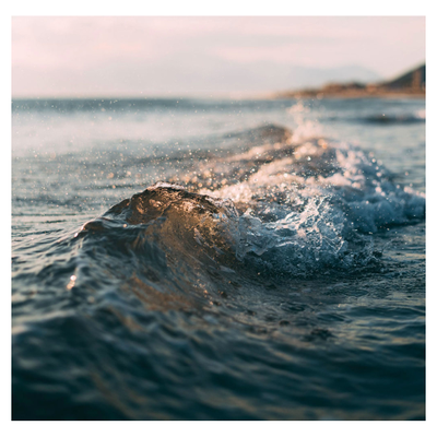 SWIM / SX PIERRE GUILLAUME