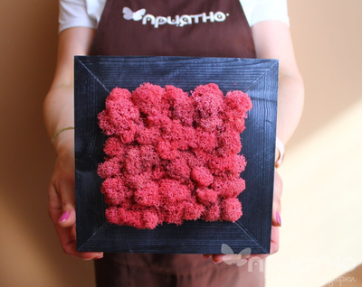 ЖИВАЯ ЭКО-КАРТИНА 1089