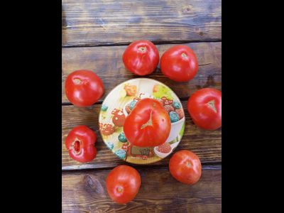 Томат Летя (Rosii de Letea), Румыния