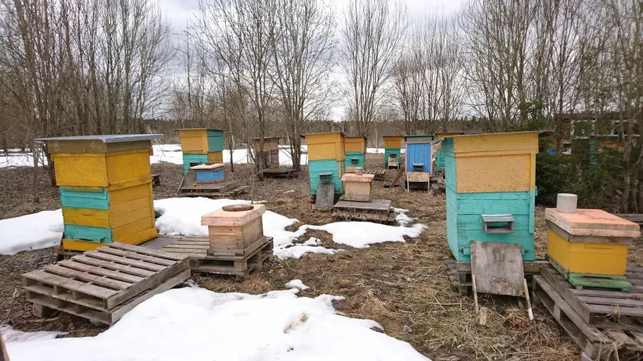 Расстояние между домиками 3 - 4 метра