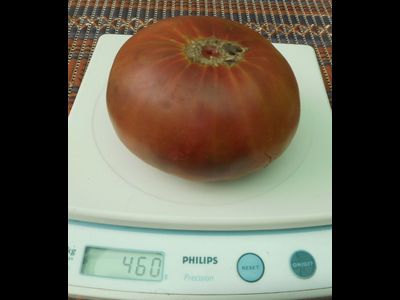 Томат Медная река (Cooper River)