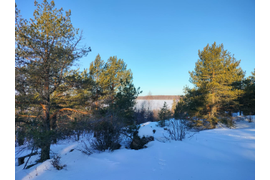 Снежная Щельга и ее окрестности