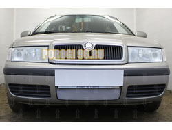 Защита радиатора Skoda Oktavia 2000-2011 chrome