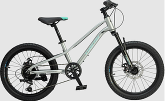 Велосипед TT277/ 7скоростей 20" Серебряный рама 10,5"