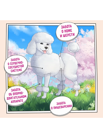 ZILLII Adult Dog Корм сухой для взрослых собак всех пород Белая Рыба с Лососем 15 кг