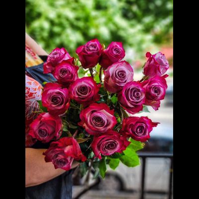 Роза Эквадор "Дип Перпл" 80 см 15 шт
