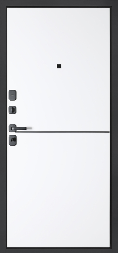 Стальная дверь   Трея. Заказная модель.