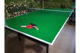 НАСТОЛЬНЫЙ ТЕННИС