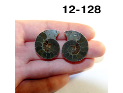 Аммонит окаменелый (симбирцитовый) № 12-128: пара 10,4г - 27*22*6мм