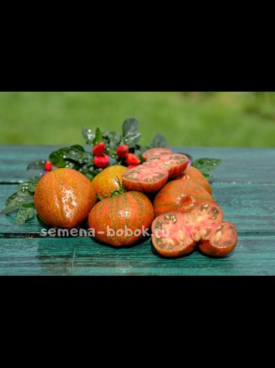 Томат Сердце Марши (Marsha's Starfighter Heart), 10 шт