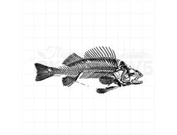 Штамп для скрапбукинга скелет рыбы